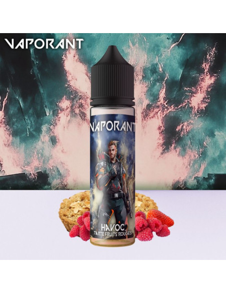 HAVOC 50ML - VAPORANT