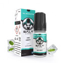 SALT E-VAPOR: ICE MINT 10ML - LE FRENCH LIQUIDE-4,99 €-AlkaVape-
