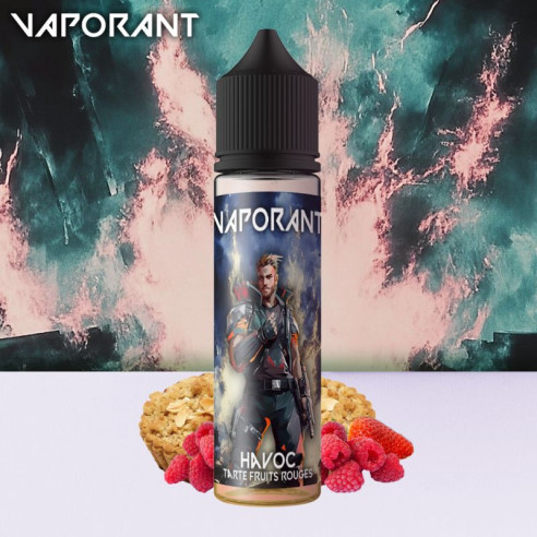 HAVOC 50ML - VAPORANT