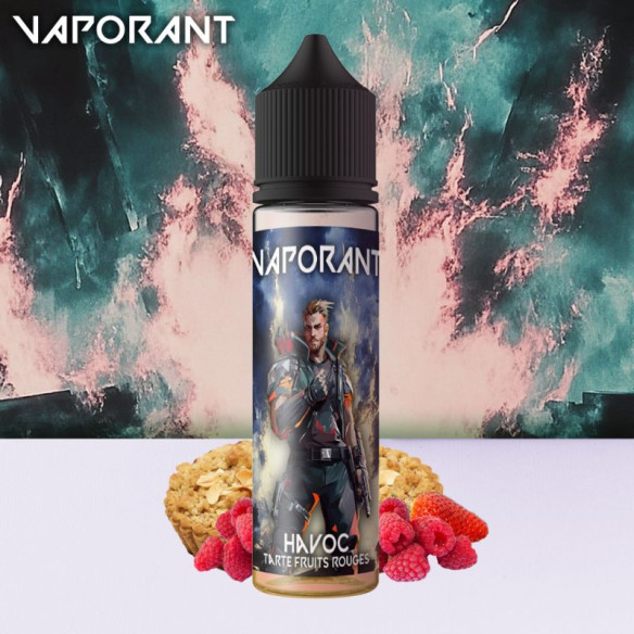 HAVOC 50ML - VAPORANT