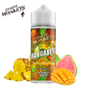 MANGABEYS 100ML - 12 MONKEYS
