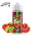 KANZI 100ML - 12 MONKEYS