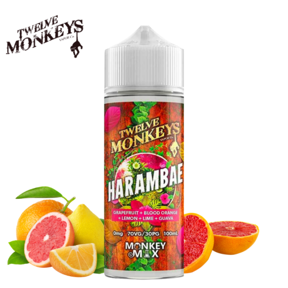 HARAMBAE 100ML - 12 MONKEYS