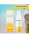 L'EAU TROPICALE 10ML NIC SALT - PETIT NUAGE-AlkaVape.fr - Vapotes - E-liquides - Résistances-4,99 €