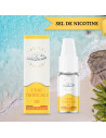 L'EAU TROPICALE 10ML NIC SALT - PETIT NUAGE-AlkaVape.fr - Vapotes - E-liquides - Résistances-4,99 €
