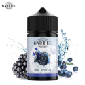 MURE & MYRTILLE GLACÉES 50ML - JUS GABRIEL