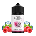 FRAMBOISE GIVRÉE 50ML - JUS GABRIEL