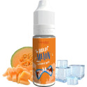 FREEZE MELON 10ML - LIQUIDEO