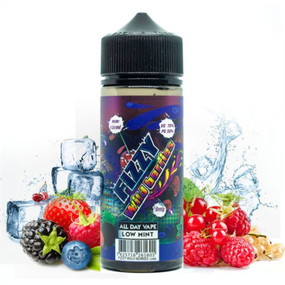 WILD BERRIES 100ML - FIZZY