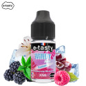 CONCENTRÉ PONIENTE 30ML - WINDY JUICE BY E.TASTY