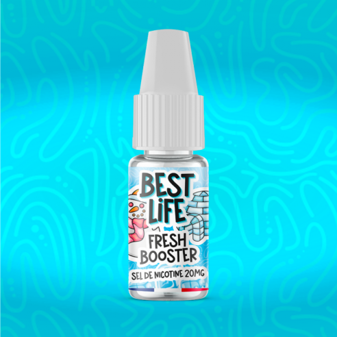 FRESH BOOSTER SEL DE NICOTINE 10ML - BEST LIFE