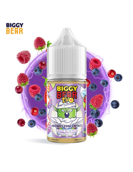 CONCENTRÉ FUSION DE BAIES SAUVAGES 30ML - BIGGY BEAR EVO
