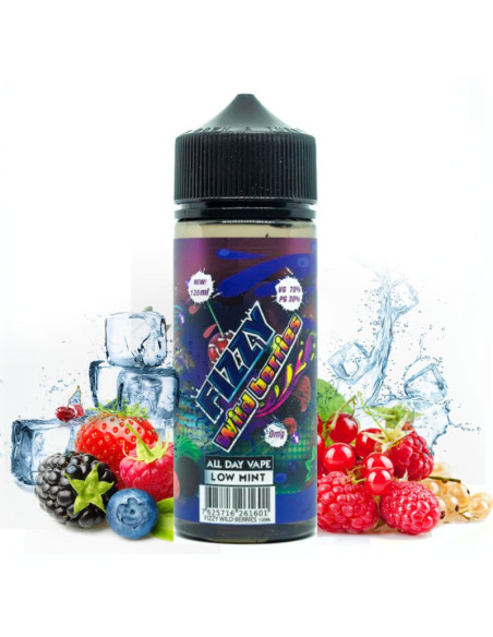 WILD BERRIES 100ML - FIZZY