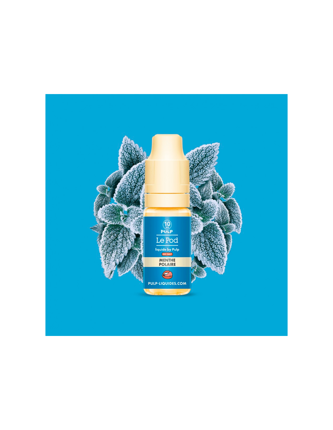 MENTHE POLAIRE 10ML - POD BY PULP NIC SALT 4,99 € AlkaVape