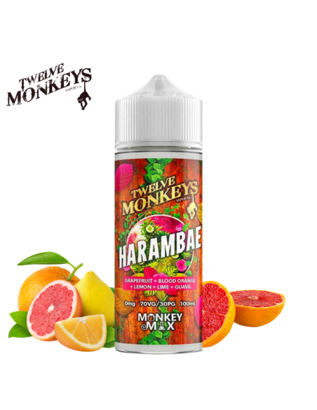 HARAMBAE 100ML - 12 MONKEYS