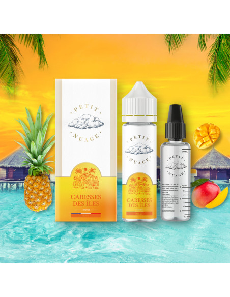 GLOBE TROTTEUR 60ML - PETIT NUAGE 14,99 € AlkaVape